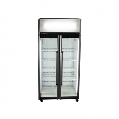 Double Glass Door Fridge