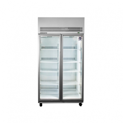 Double Glass Door Freezer